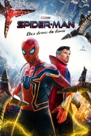 Spider-Man: Bez drogi do domu