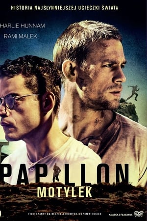 Papillon. Motylek