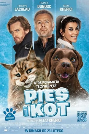 Pies i kot