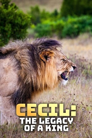 Cecil: historia legendy