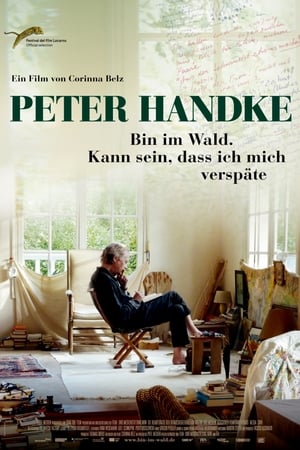 Peter Handke - Las o zmroku