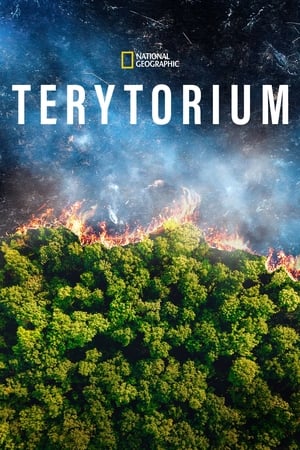 Terytorium