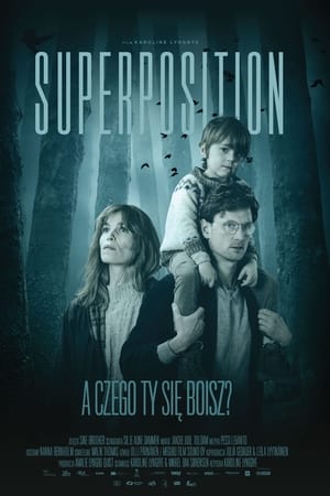 Superposition