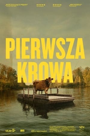 Pierwsza krowa