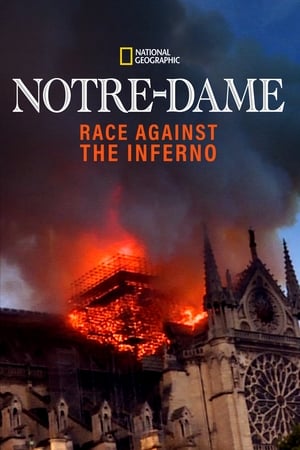 Notre Dame w ogniu