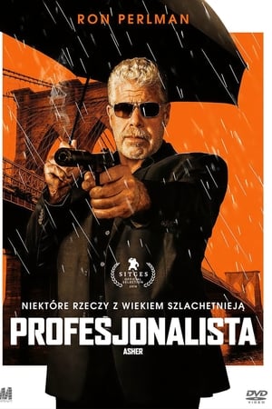 Profesjonalista