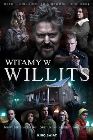 Witamy w Willits