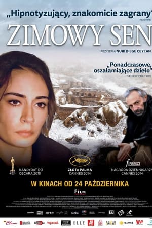 Zimowy sen