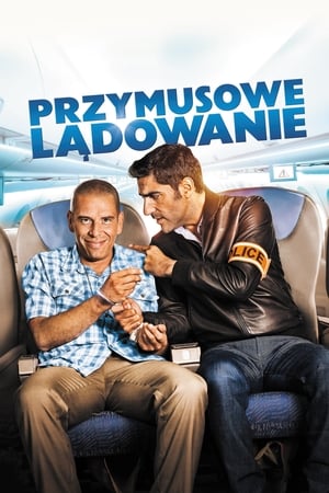 Przymusowe lądowanie